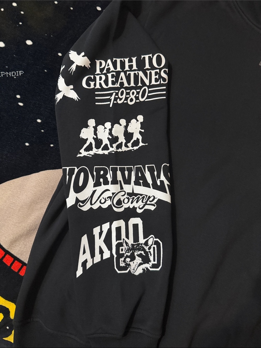 AKOO (Ranger Service) Hoodie - Picture 5 of 13